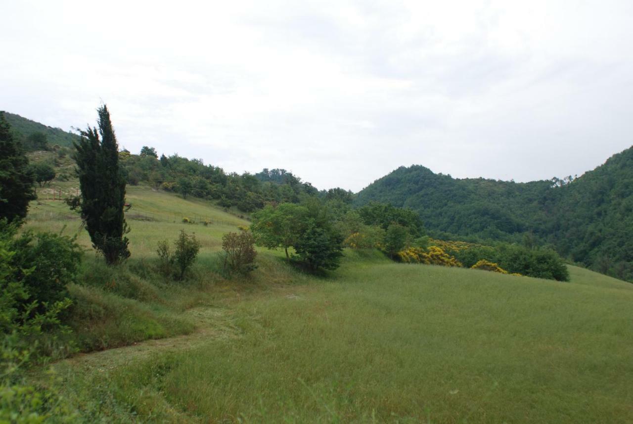 Hotel Casa Vinto Cagli Zewnętrze zdjęcie